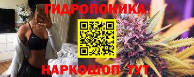 дурь Тара