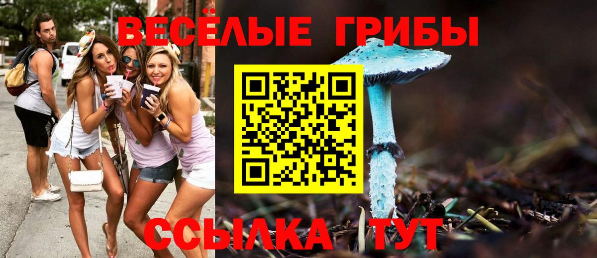 Галлюциногенные грибы GOLDEN TEACHER  Галлюциногенные грибы Cubensis  Вход с VPN  Ногинск 